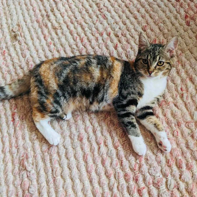Photo of Worm   In Foster Care In Thornbury