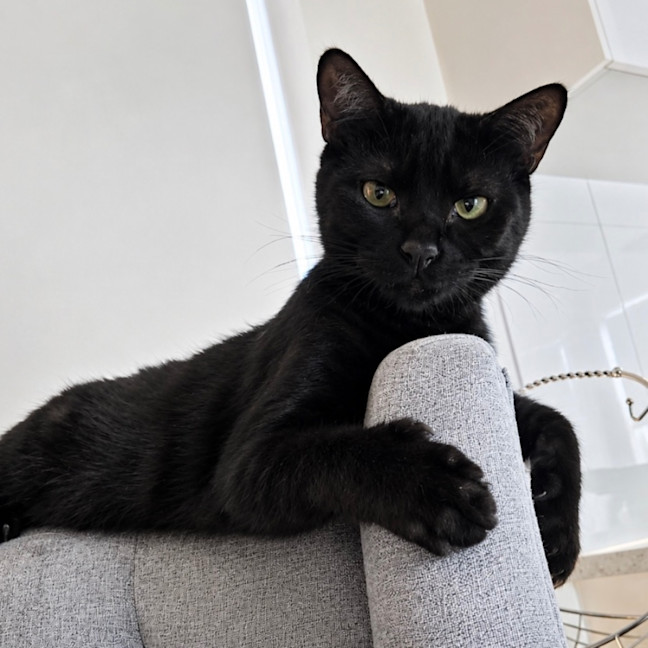 Photo of Jaggar