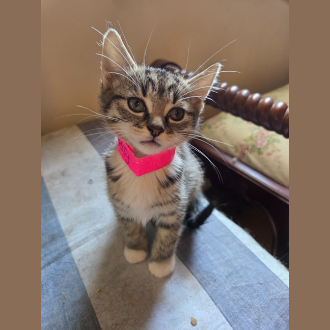 Photo of Lisa