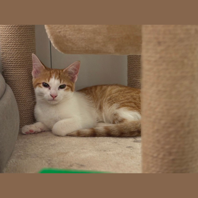 Photo of 🧡Arisaka🧡