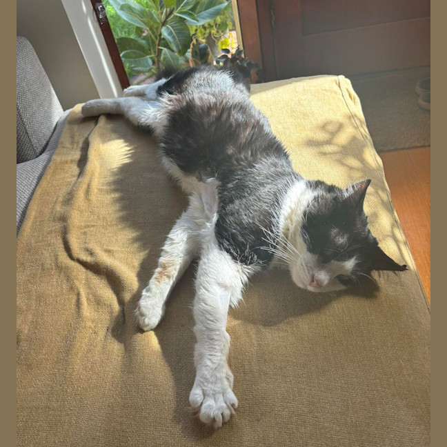 Photo of Hugo