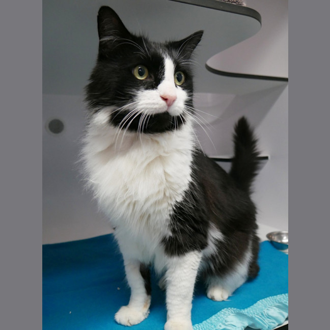 Photo of Oscar Sta010749