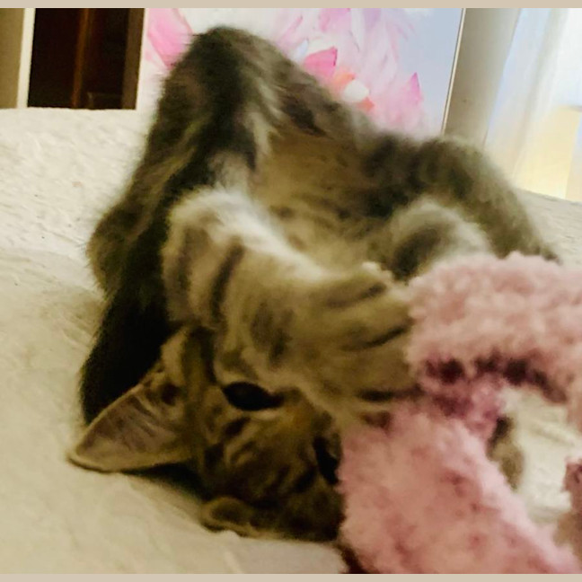 Photo of Eddie & Dot