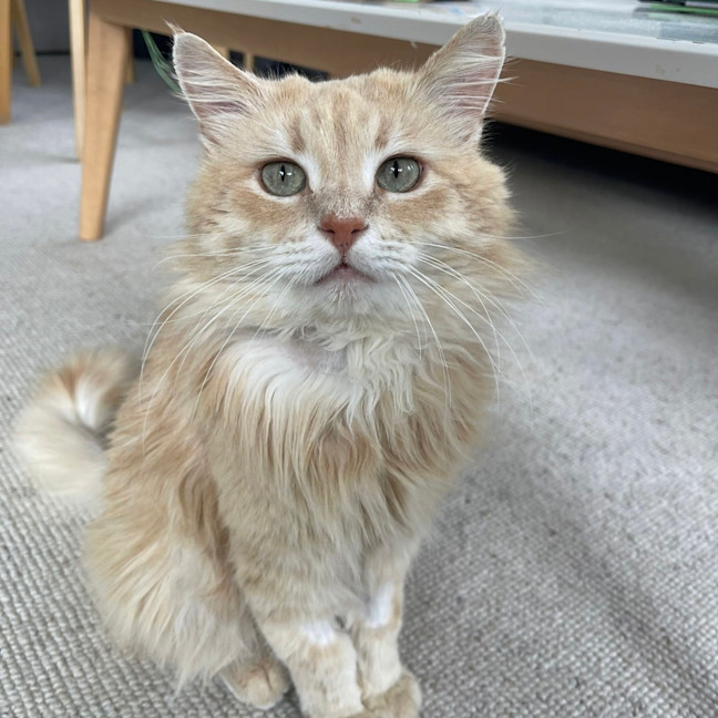 Photo of Hamilton