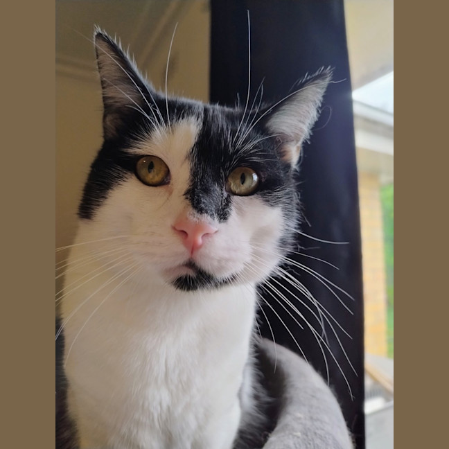 Photo of Clyde