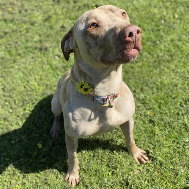 Photo of Mocha