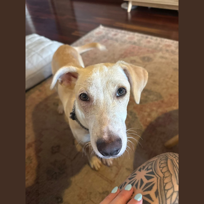Photo of Dora