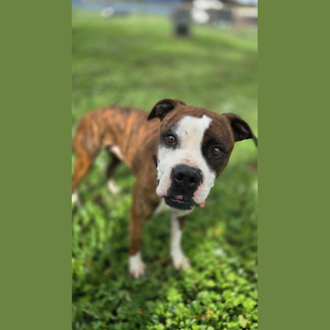 Photo of Tank