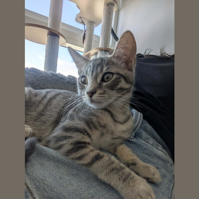 Photo of Meridith Grey