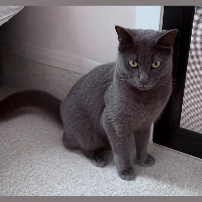 Photo of Luen (9019)