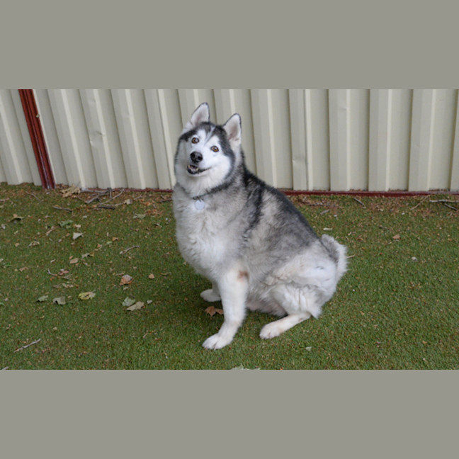 Photo of Maverick
