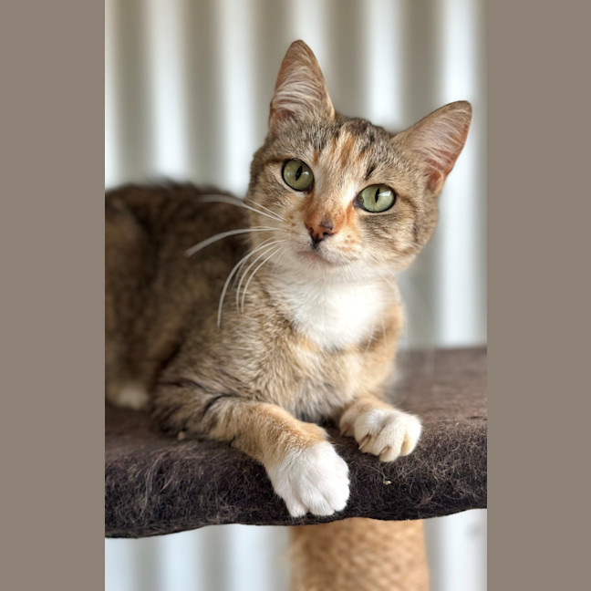 Photo of Abbie