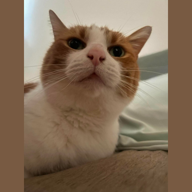 Photo of Charlie 