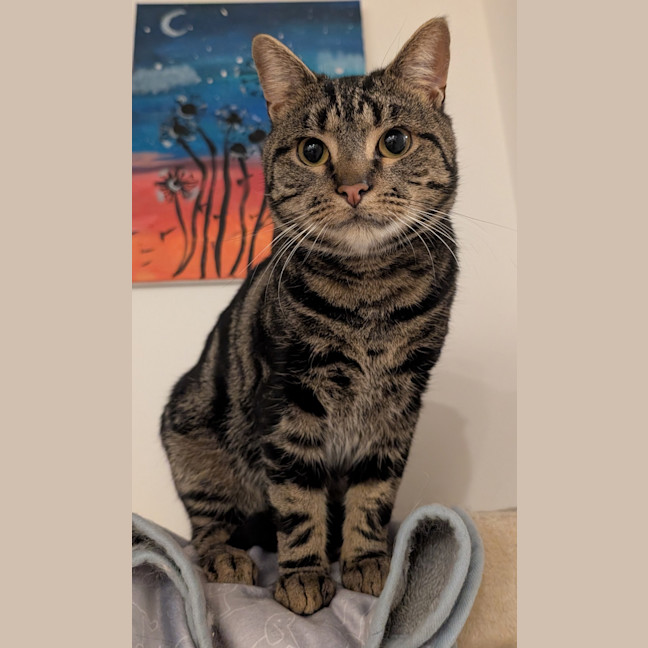 Photo of Benny