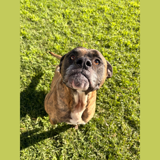 Photo of Cash
