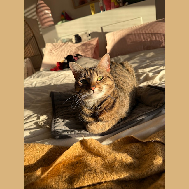 Photo of Fendi