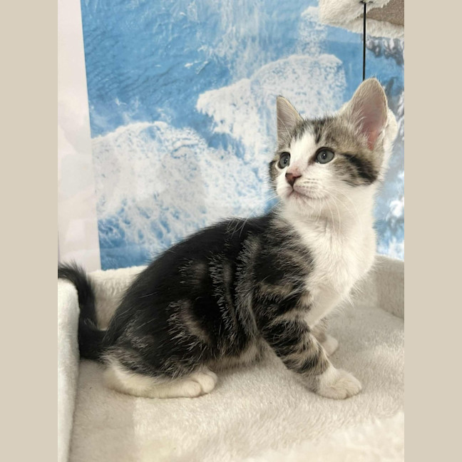Photo of Tiggy