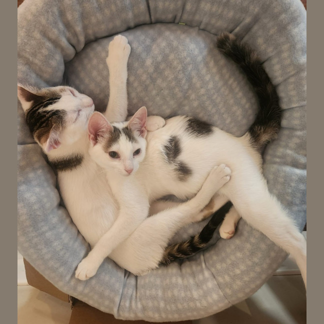 Photo of Verity & Solace