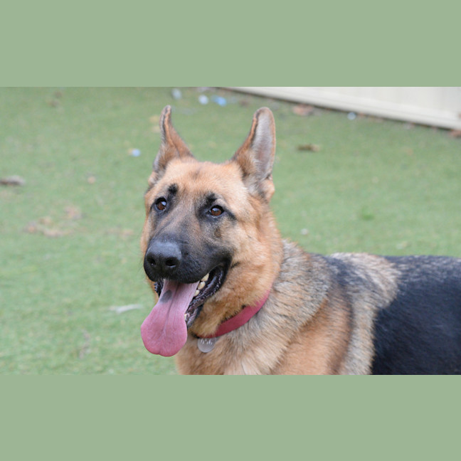 Photo of Agatha