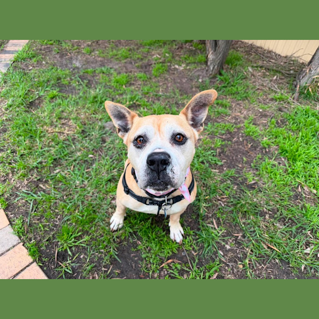 Photo of Angel