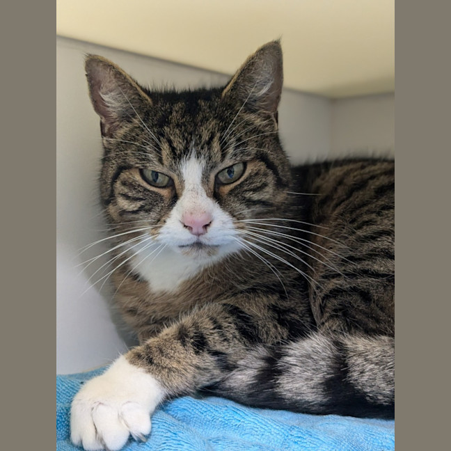 Photo of 🪕 Bruno 5422 🪕