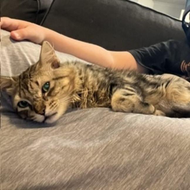Photo of Klaus
