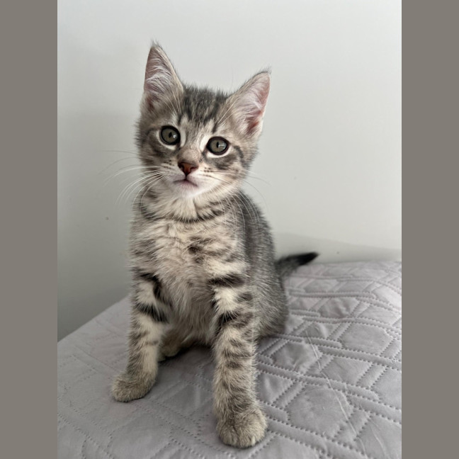 Photo of Roll