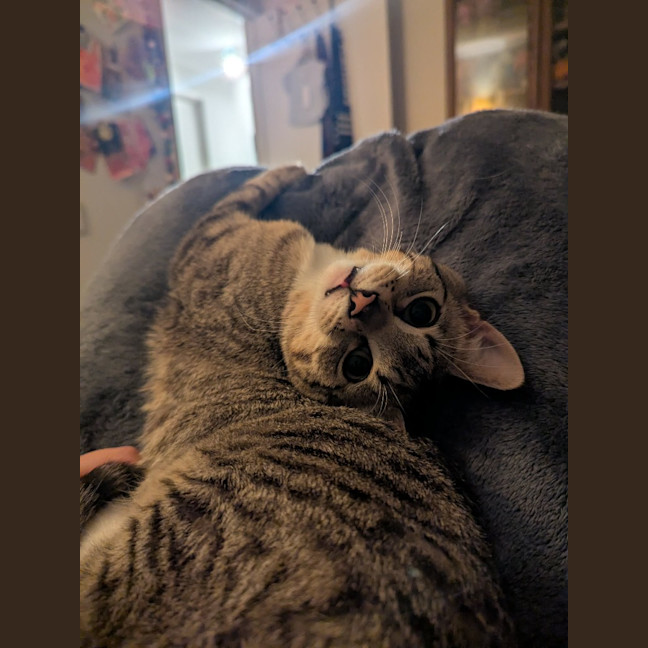 Photo of Artemis