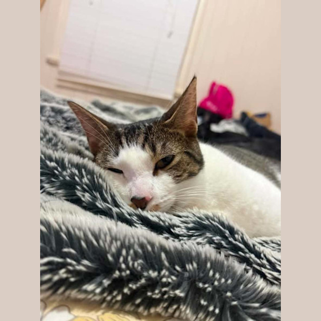 Photo of Esmeralda