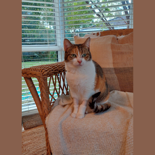 Photo of Princess