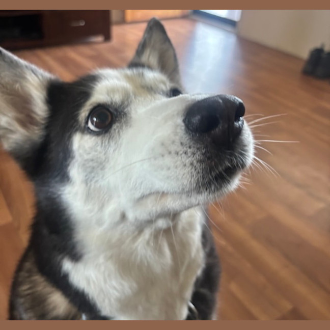 Photo of Mia