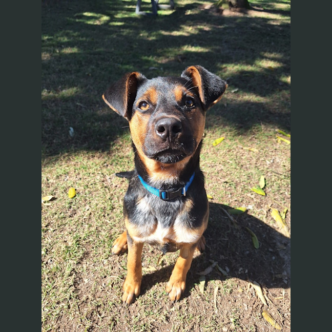Photo of Nelly