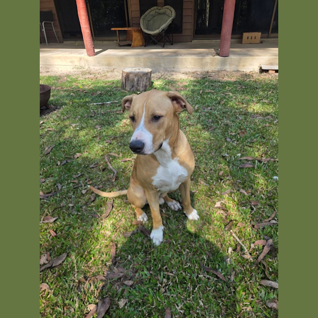 Photo of Chase 