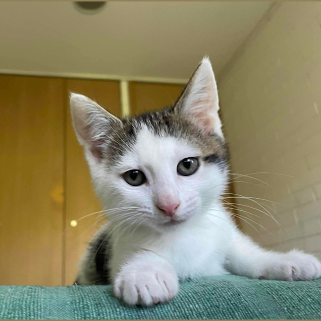 Photo of Ralph ❤️