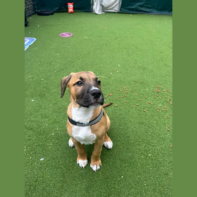 Photo of Reggie