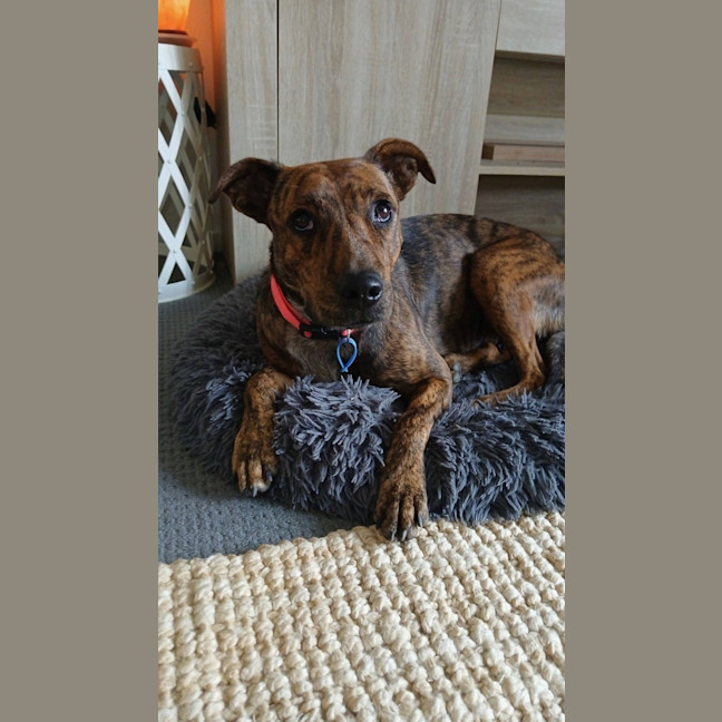 Photo of Marsha 
