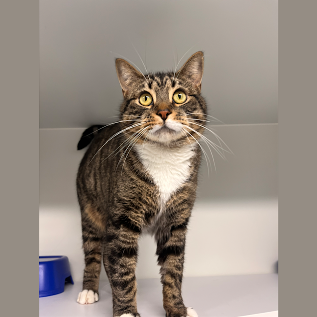 Photo of Bumpkin 