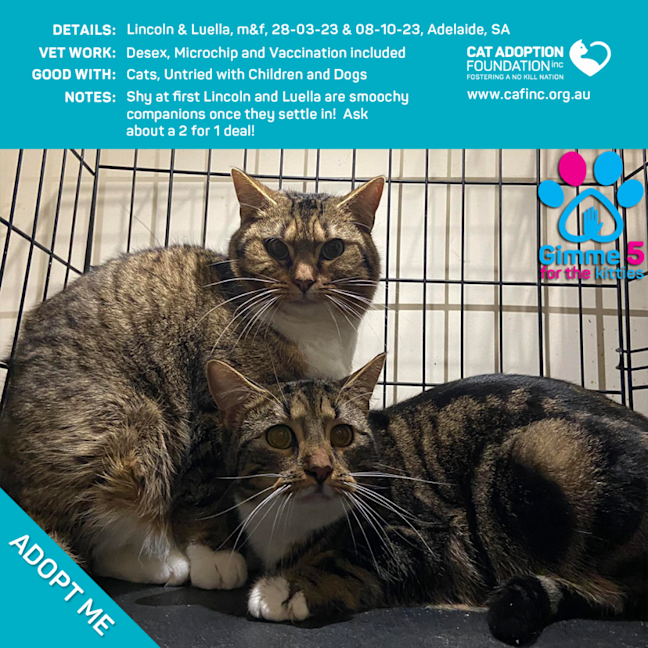 Photo of Lincoln And Luella