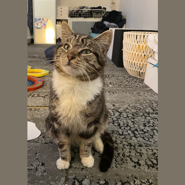Photo of Trinket