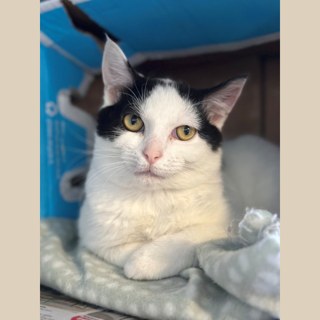 Photo of Stanley