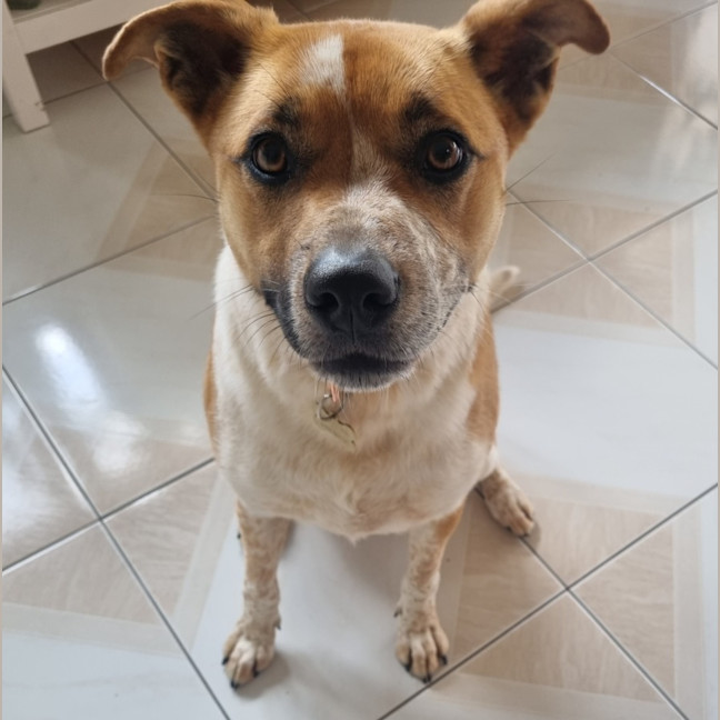 Photo of Sally Brown