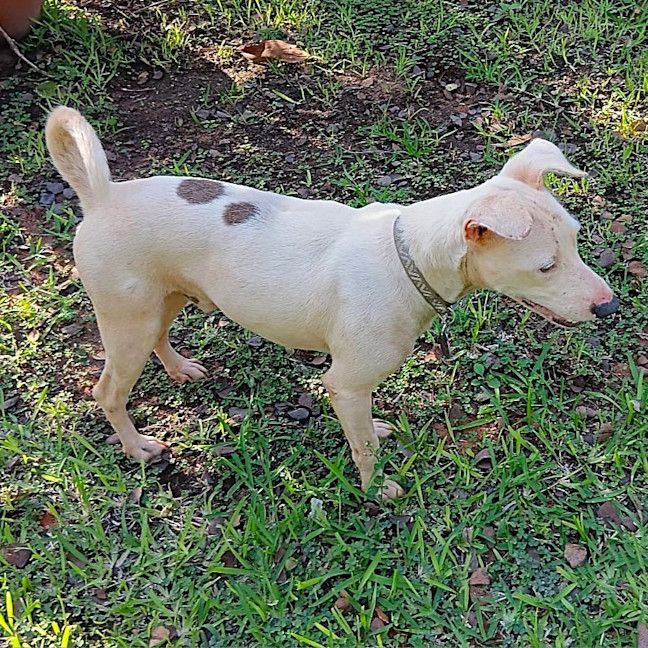 Photo of Jax