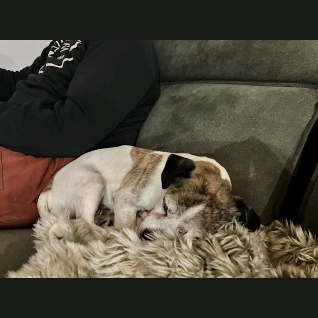 Photo of Coriolanus Snow Peggotty