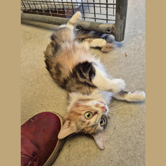 Photo of Maree! 🎀