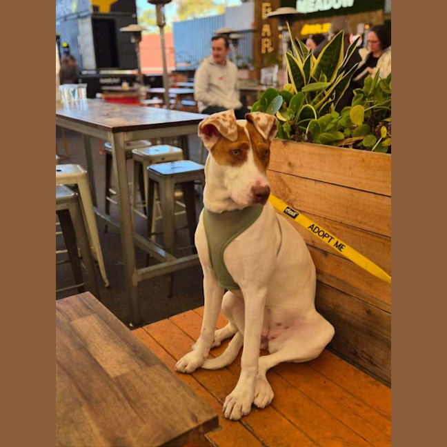 Photo of Spice