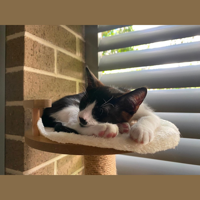 Photo of Lucy