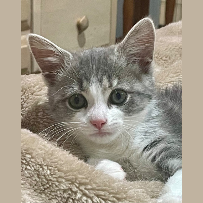 Photo of Minnie Mimi