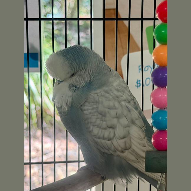 Photo of Storm