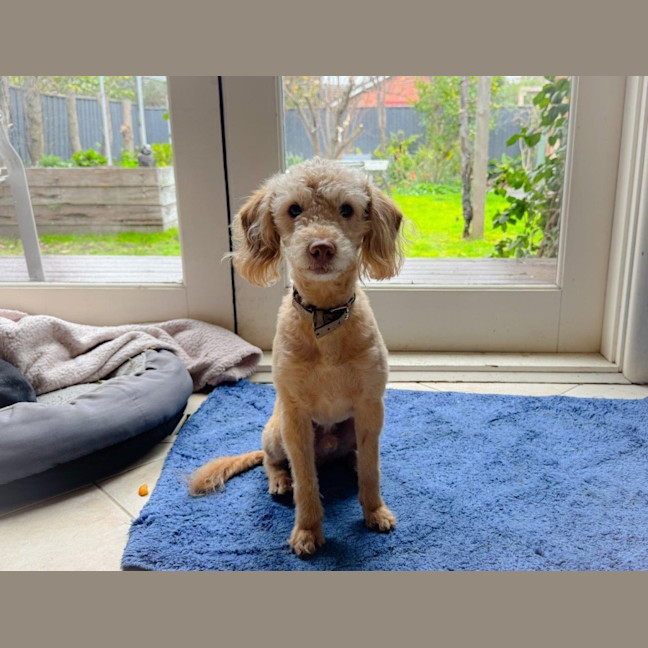 Photo of Alexander Silvanus