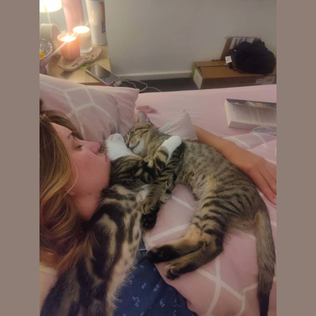 Photo of Bertie & Bolt 